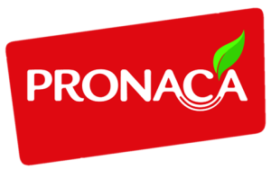 Logo Pronaca